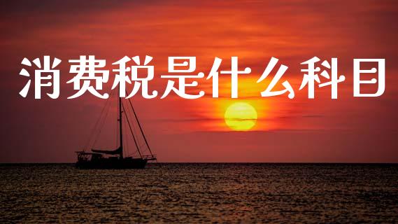 消费税是什么科目_https://cj002.lansai.wang_会计问答_第1张