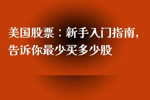美国股票：新手入门指南，告诉你最少买多少股_https://cj002.lansai.wang_期货问答_第1张