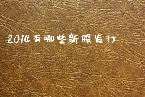 2014有哪些新股发行_https://cj002.lansai.wang_财经问答_第1张
