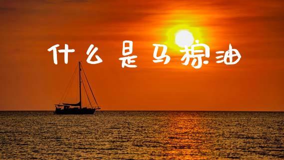 什么是马棕油_财经问答_第1张_财经百问网 什么是马棕油_https://cj002.lansai.wang_财经问答_第1张