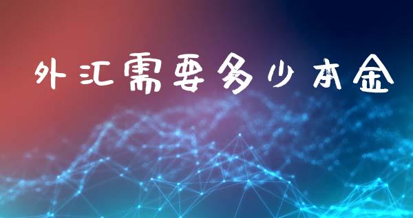 外汇需要多少本金_https://cj002.lansai.wang_财经问答_第1张