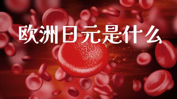 欧洲日元是什么_https://cj002.lansai.wang_财经问答_第1张