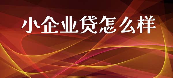 小企业贷怎么样_https://cj002.lansai.wang_股市问答_第1张