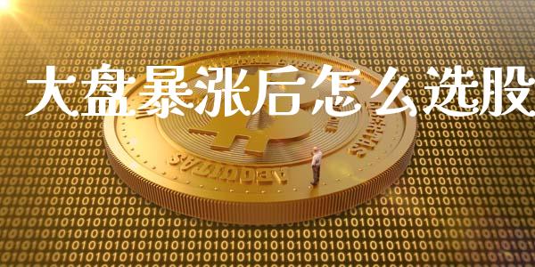 大盘暴涨后怎么选股_https://cj002.lansai.wang_股市问答_第1张