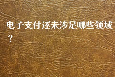 电子支付还未涉足哪些领域?_财经问答_第1张_财经百问网 电子支付还未涉足哪些领域?_https://cj002.lansai.wang_财经问答_第1张