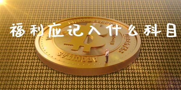 福利应记入什么科目_https://cj002.lansai.wang_会计问答_第1张