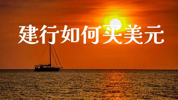 建行如何买美元_https://cj002.lansai.wang_财经问答_第1张