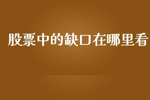 股票中的缺口在哪里看_https://cj002.lansai.wang_股市问答_第1张