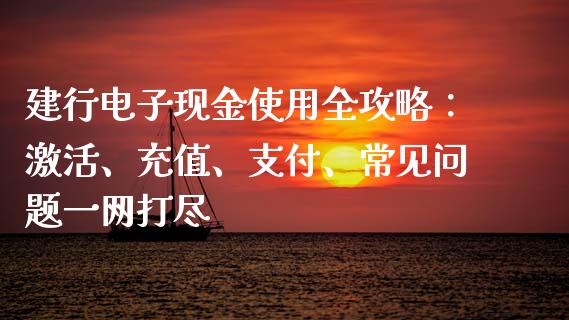 建行电子现金使用全攻略：激活、充值、支付、常见问题一网打尽_https://cj002.lansai.wang_理财问答_第1张