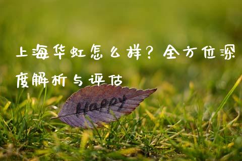 上海华虹怎么样？全方位深度解析与评估_https://cj002.lansai.wang_保险问答_第1张