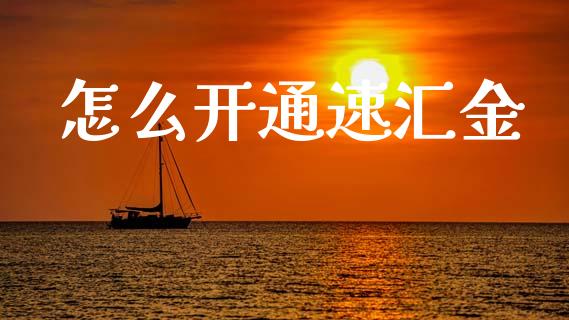 怎么开通速汇金_https://cj002.lansai.wang_财经问答_第1张