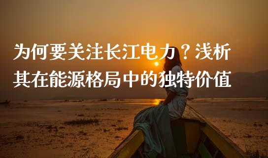 为何要关注长江电力？浅析其在能源格局中的独特价值_https://cj002.lansai.wang_财经百问_第1张