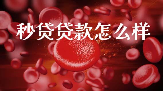 秒贷贷款怎么样_https://cj002.lansai.wang_理财问答_第1张
