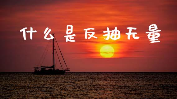 什么是反抽无量_财经问答_第1张_财经百问网 什么是反抽无量_https://cj002.lansai.wang_财经问答_第1张