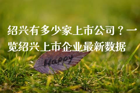 绍兴有多少家上市公司？一览绍兴上市企业最新数据_https://cj002.lansai.wang_财经百问_第1张