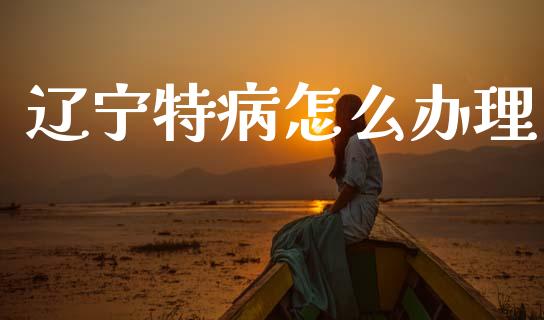 辽宁特病怎么办理_https://cj002.lansai.wang_保险问答_第1张