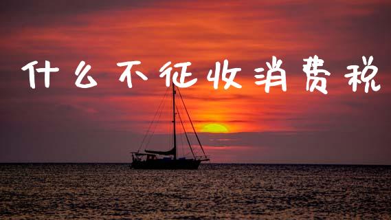 什么不征收消费税_https://cj002.lansai.wang_会计问答_第1张