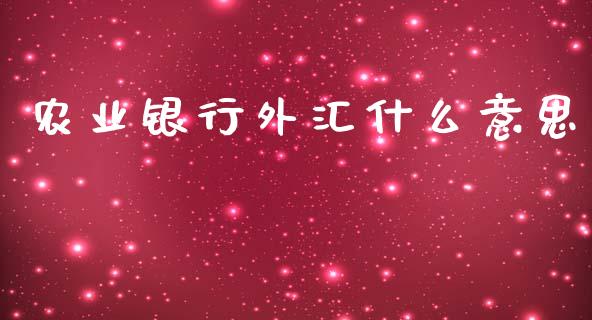农业银行外汇什么意思_https://cj002.lansai.wang_财经问答_第1张