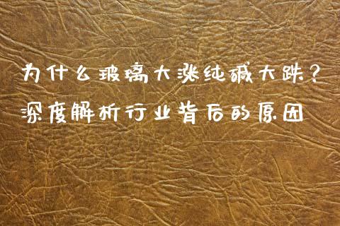 为什么玻璃大涨纯碱大跌？深度解析行业背后的原因_https://cj002.lansai.wang_会计问答_第1张