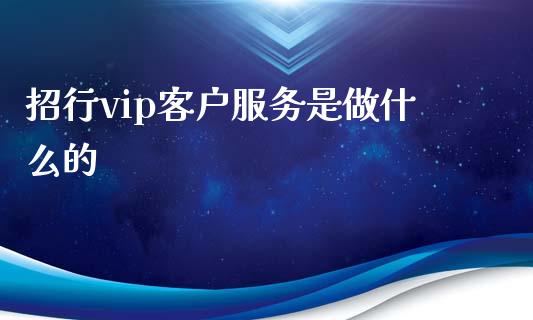 招行vip客户服务是做什么的_https://cj002.lansai.wang_金融问答_第1张