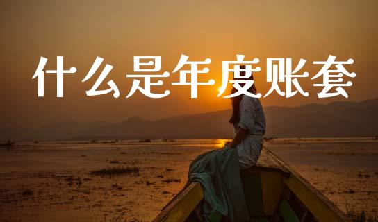 什么是年度账套_https://cj002.lansai.wang_会计问答_第1张