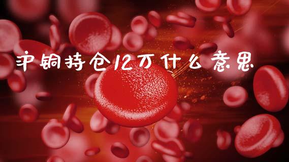 沪铜持仓12万什么意思_https://cj002.lansai.wang_理财问答_第1张