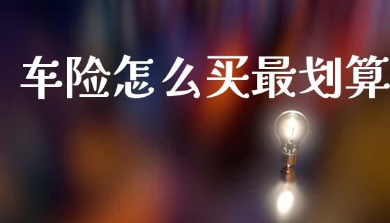 车险怎么买最划算_https://cj002.lansai.wang_保险问答_第1张
