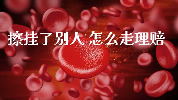 擦挂了别人 怎么走理赔_https://cj002.lansai.wang_保险问答_第1张