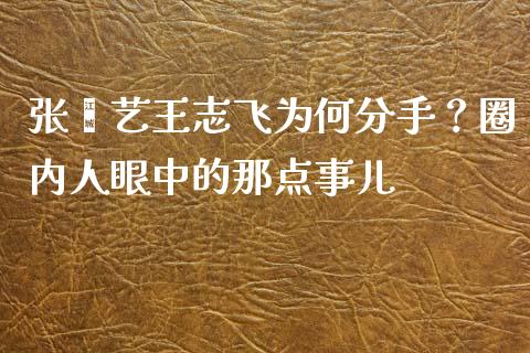 张歆艺王志飞为何分手？圈内人眼中的那点事儿_https://cj002.lansai.wang_股市问答_第1张