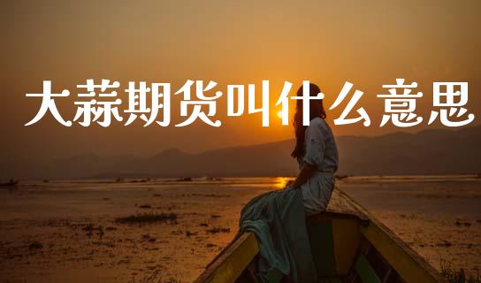大蒜期货叫什么意思_https://cj002.lansai.wang_会计问答_第1张