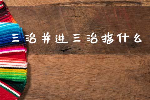 三治并进三治指什么_https://cj002.lansai.wang_财经问答_第1张