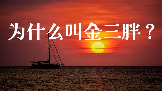 为什么叫金三胖？_https://cj002.lansai.wang_会计问答_第1张