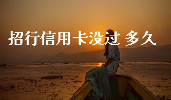 招行信用卡没过 多久_https://cj002.lansai.wang_理财问答_第1张