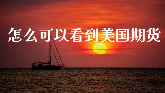 怎么可以看到美国期货_https://cj002.lansai.wang_期货问答_第1张