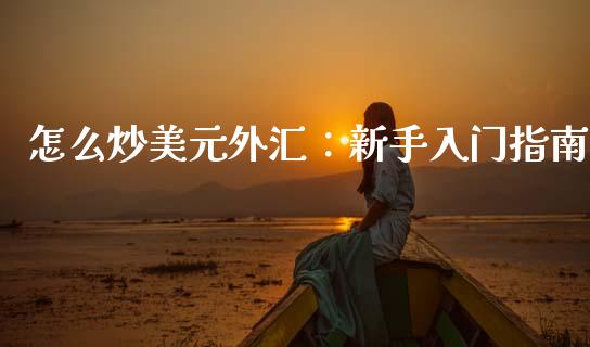 怎么炒美元外汇:新手入门指南_期货问答_第1张_财经百问网 怎么炒美元外汇:新手入门指南_https://cj002.lansai.wang_期货问答_第1张