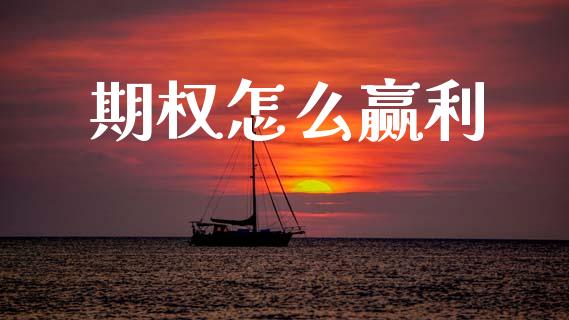 期权怎么赢利_https://cj002.lansai.wang_期货问答_第1张