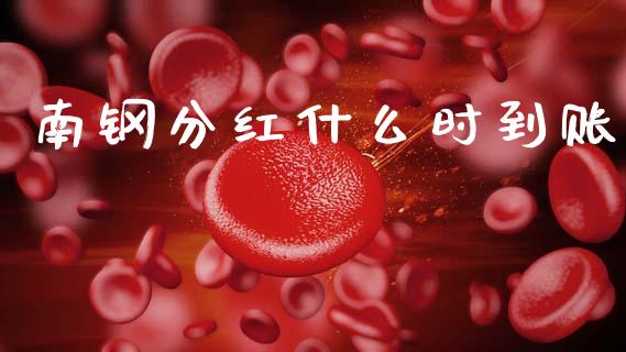 南钢分红什么时到账_https://cj002.lansai.wang_股市问答_第1张