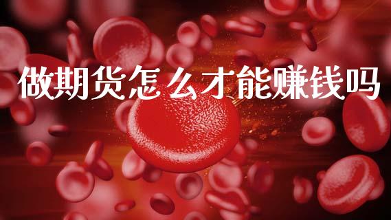 做期货怎么才能赚钱吗_https://cj002.lansai.wang_股市问答_第1张