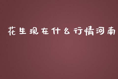 花生现在什么行情河南_https://cj002.lansai.wang_财经问答_第1张
