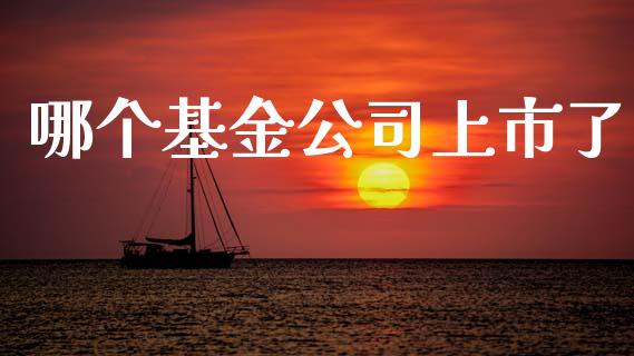 哪个基金公司上市了_https://cj002.lansai.wang_理财问答_第1张