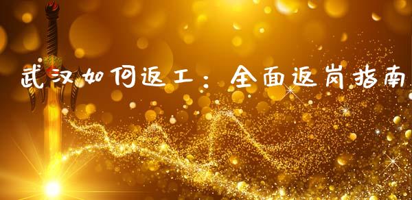 武汉如何返工：全面返岗指南_https://cj002.lansai.wang_财经百问_第1张