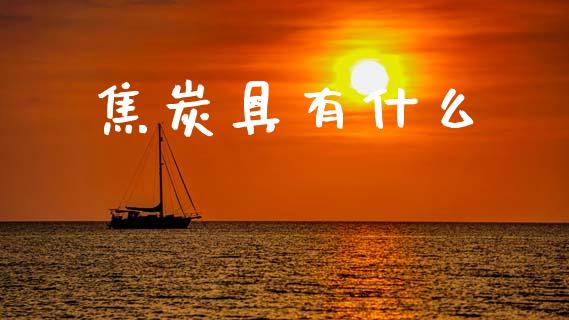 焦炭具有什么_https://cj002.lansai.wang_会计问答_第1张