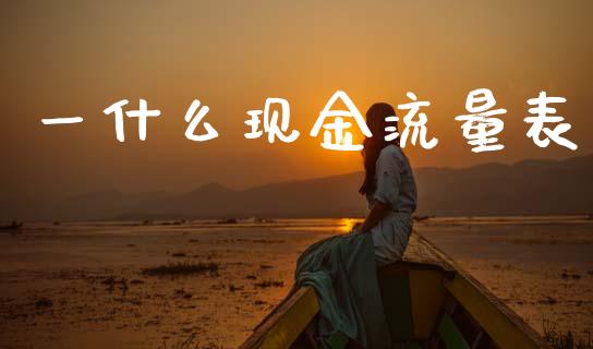 一什么现金流量表_https://cj002.lansai.wang_会计问答_第1张