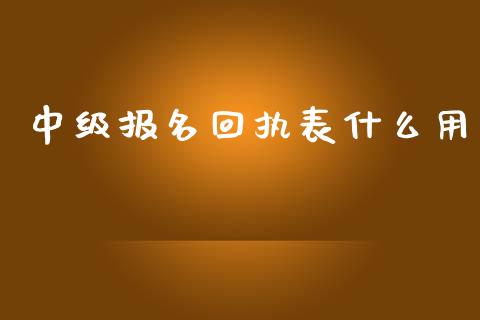 中级报名回执表什么用_https://cj002.lansai.wang_会计问答_第1张