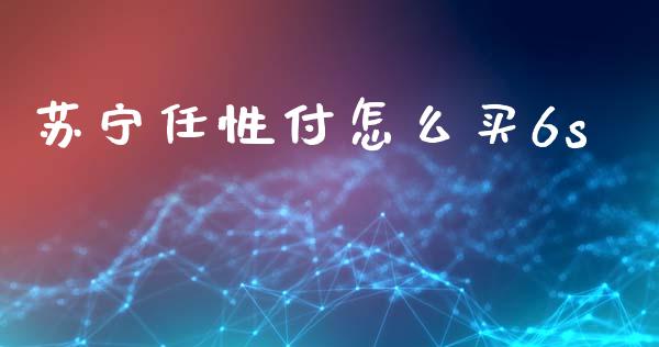 苏宁任性付怎么买6s_https://cj002.lansai.wang_财经问答_第1张