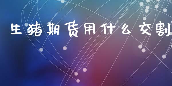 生猪期货用什么交割_https://cj002.lansai.wang_会计问答_第1张