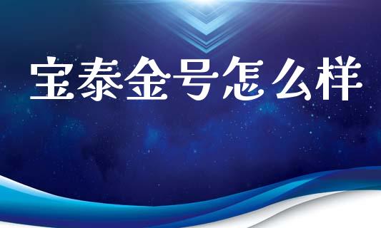 宝泰金号怎么样_https://cj002.lansai.wang_财经问答_第1张