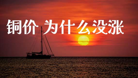铜价 为什么没涨_https://cj002.lansai.wang_金融问答_第1张