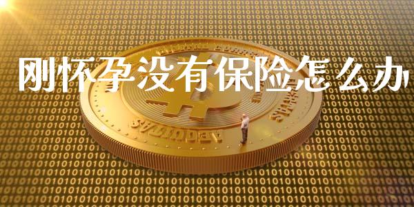 刚怀孕没有保险怎么办_https://cj002.lansai.wang_保险问答_第1张