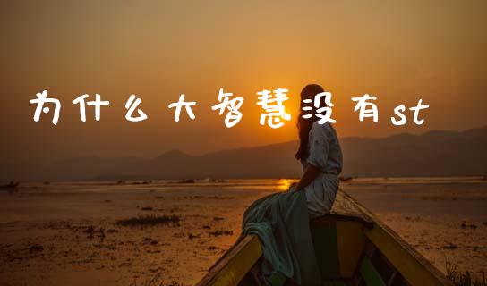 为什么大智慧没有st_https://cj002.lansai.wang_股市问答_第1张
